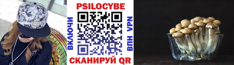 Галлюциногенные грибы Cubensis  Купить где  Лахденпохья 